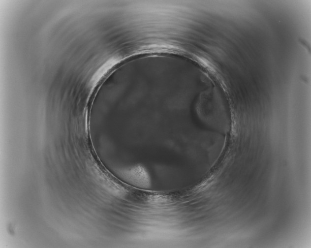 X0000100891275200807011149