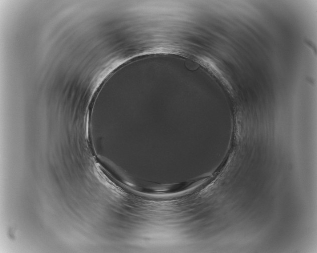 X0000100891276200807011149