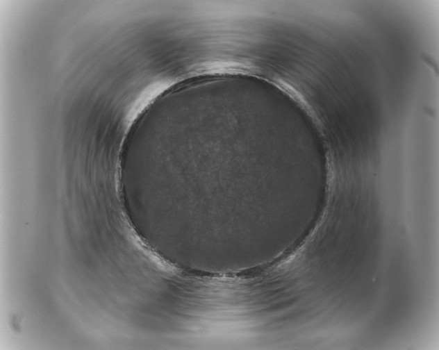 X0000100891277200807011149