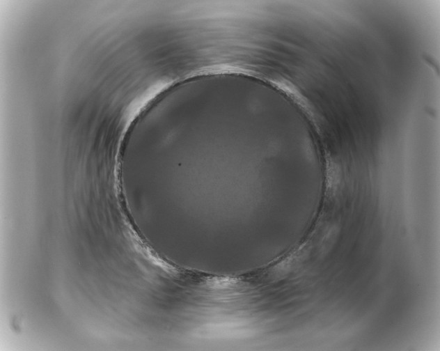 X0000100891278200807011148