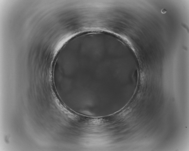 X0000100891279200807011148