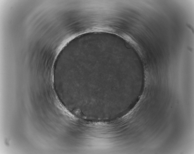 X0000100891280200807011148