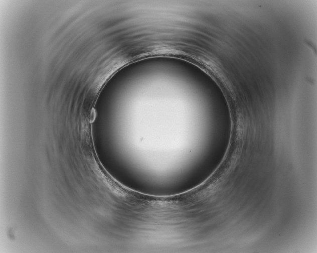 X0000100891281200807011148