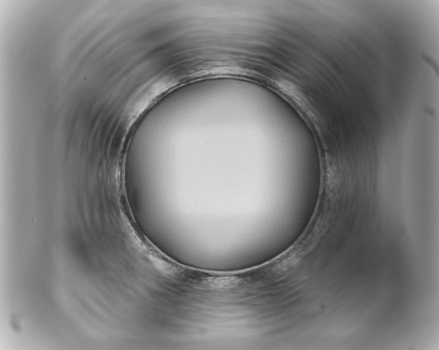 X0000100891282200807011148