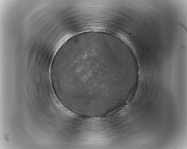 X0000100891283200807011148