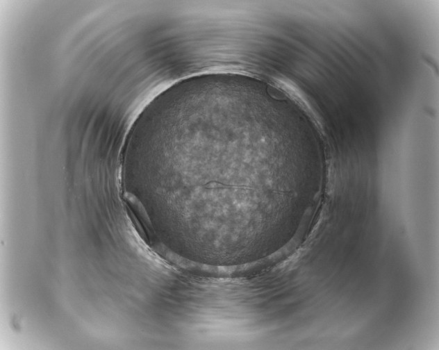X0000100891284200807011148