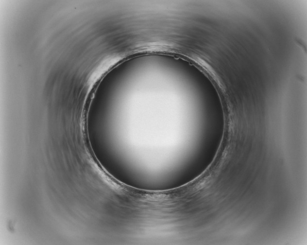 X0000100891285200807011148