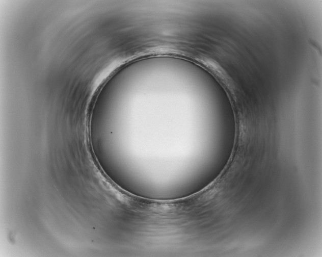 X0000100891286200807011148