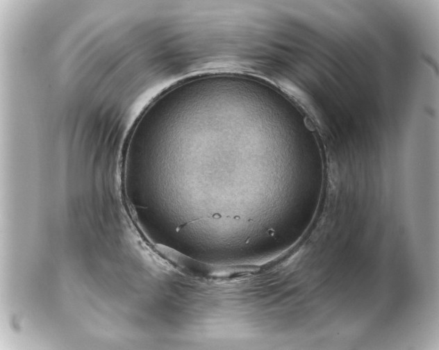 X0000100891288200807011148