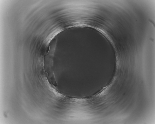 X0000100891289200807011148