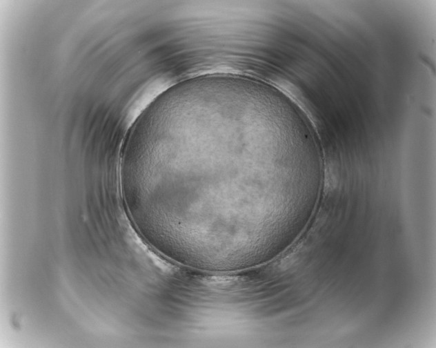 X0000100891290200807011148