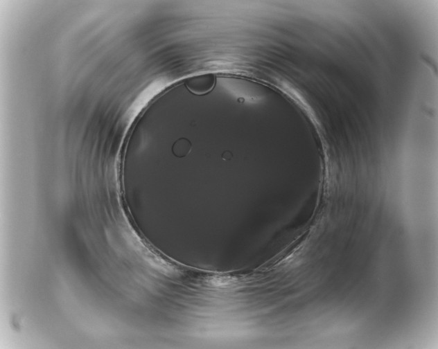X0000100891291200807011148