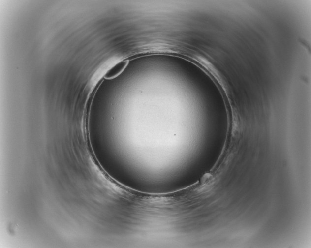 X0000100891293200807011148