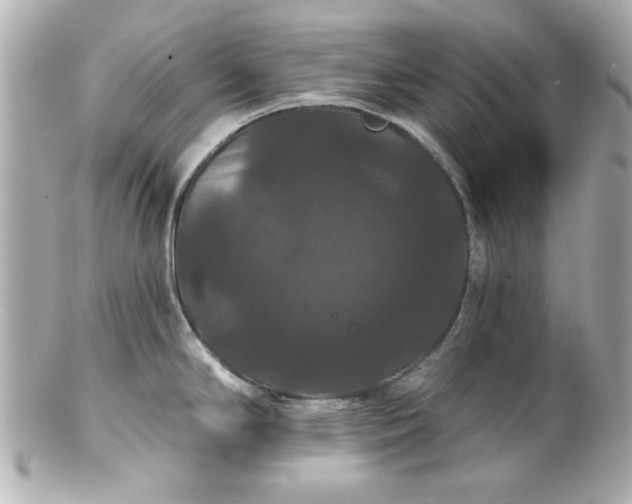 X0000100891294200807011148