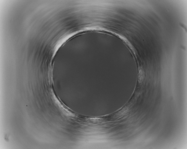 X0000100891295200807011148