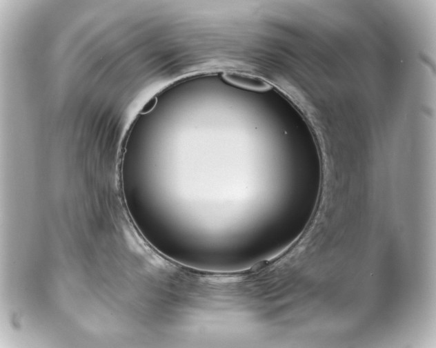 X0000100891296200807011148