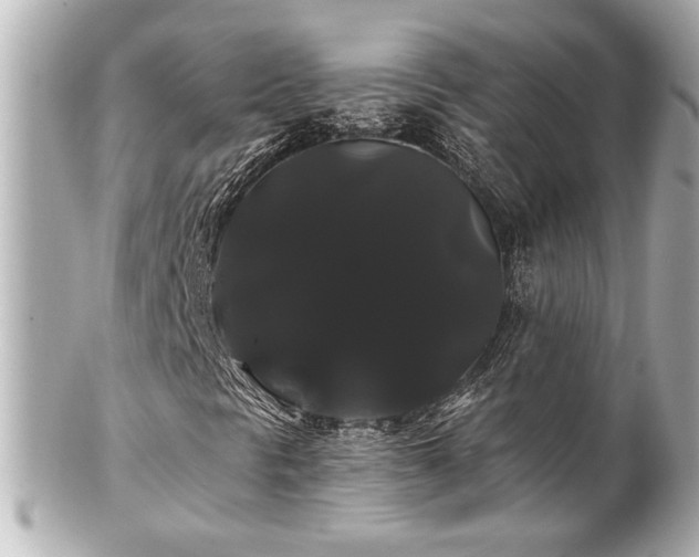 X0000100891297200807011147