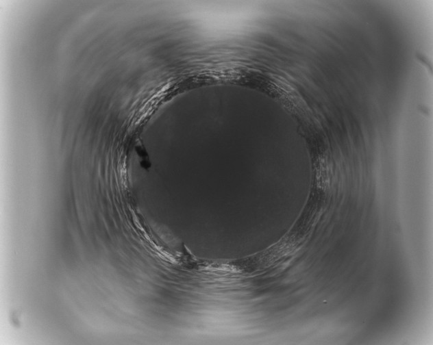 X0000100891298200807011147