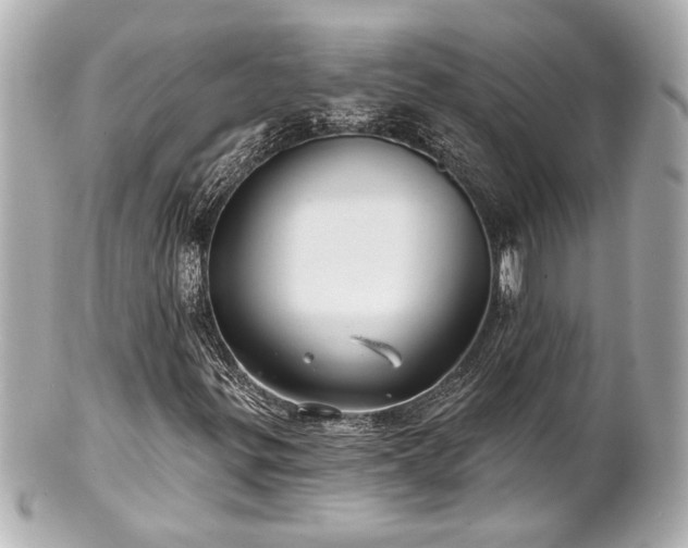 X0000100891299200807011147