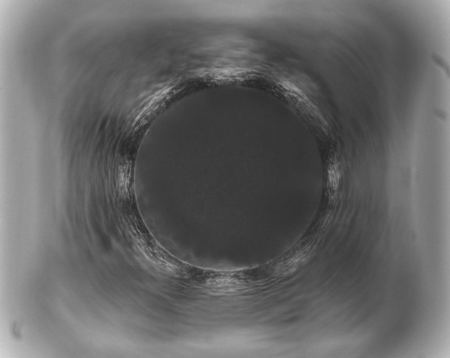 X0000100891300200807011147