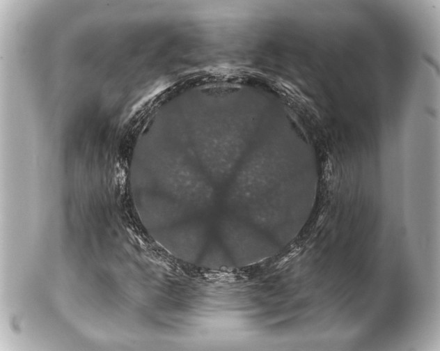 X0000100891302200807011147