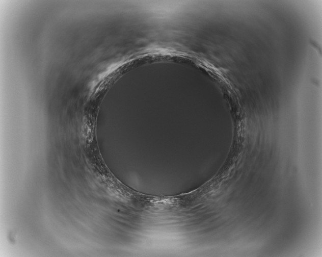 X0000100891303200807011147