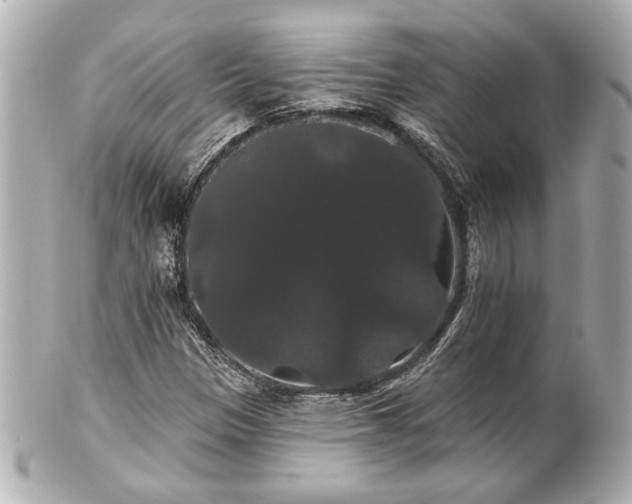 X0000100891305200807011147