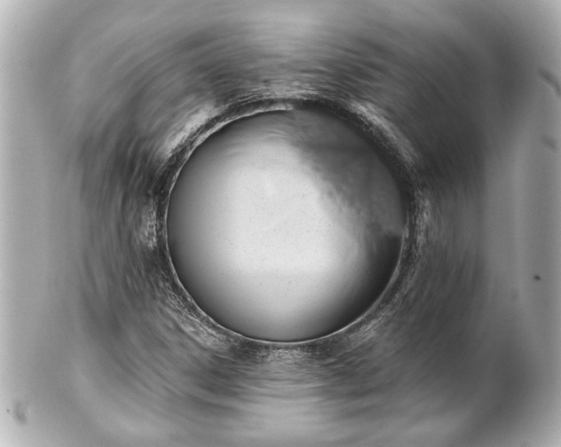 X0000100891306200807011148