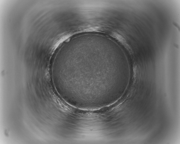 X0000100891308200807011148