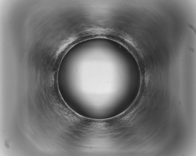 X0000100891309200807011148