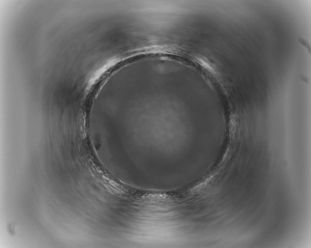 X0000100891310200807011148