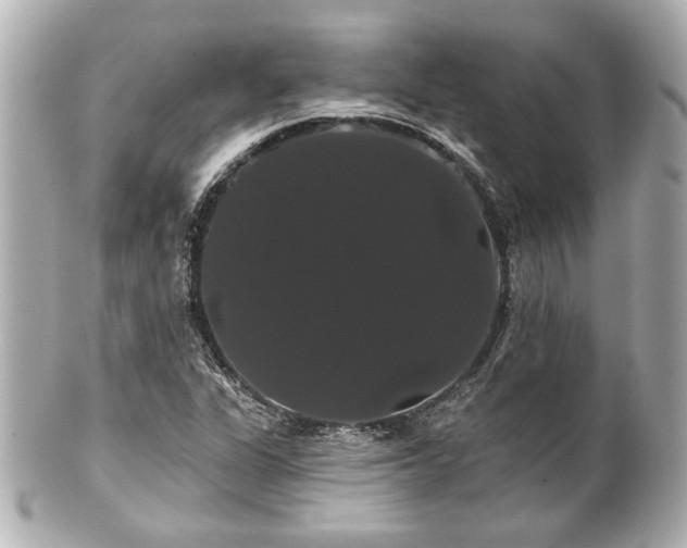 X0000100891311200807011148