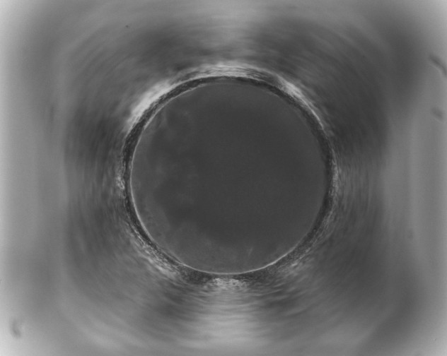 X0000100891312200807011148
