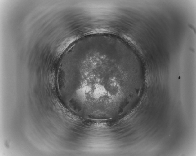 X0000100891313200807011148