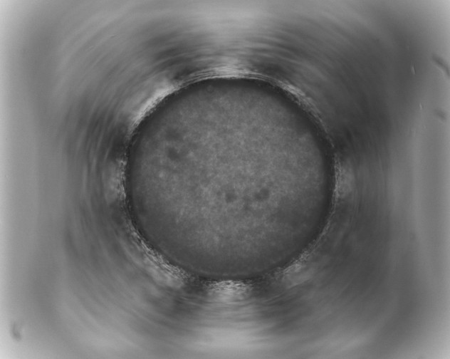 X0000100891314200807011148