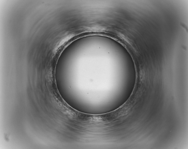 X0000100891315200807011148