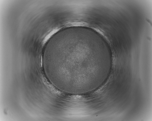 X0000100891317200807011148