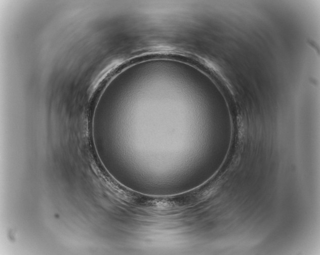 X0000100891318200807011148