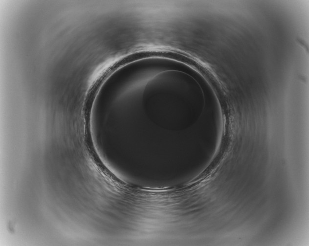 X0000100891319200807011148