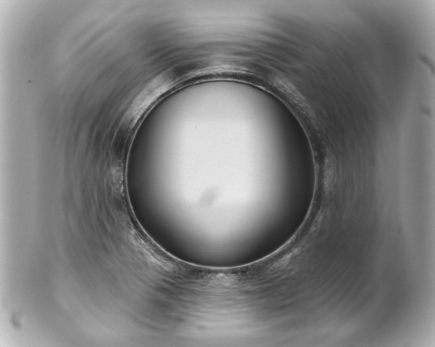 X0000100891321200807011148