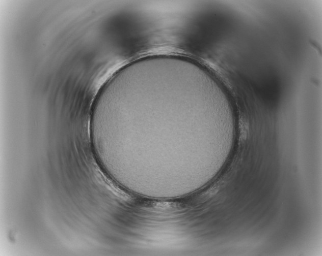 X0000100891322200807011148