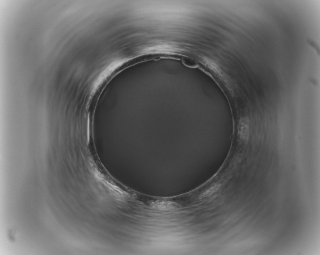 X0000100891323200807011148