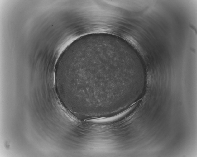 X0000100891324200807011148
