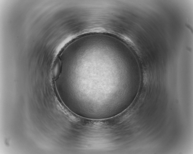 X0000100891326200807011148