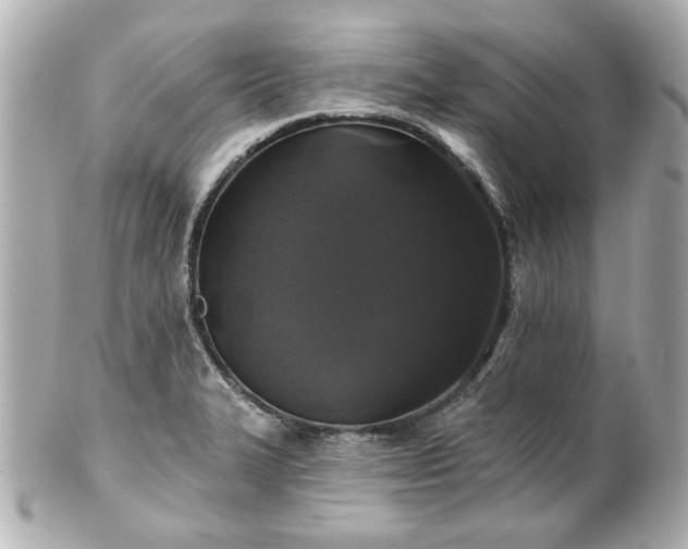 X0000100891327200807011148