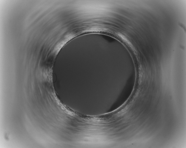 X0000100891329200807011148