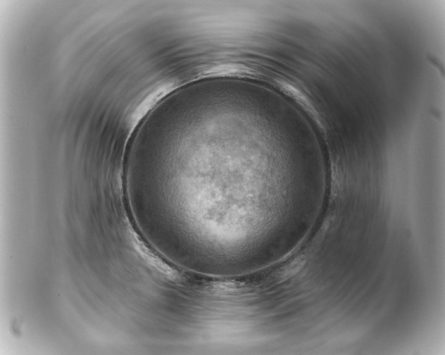 X0000100891330200807011148