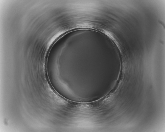 X0000100891331200807011148