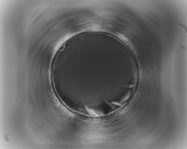 X0000100891334200807011148