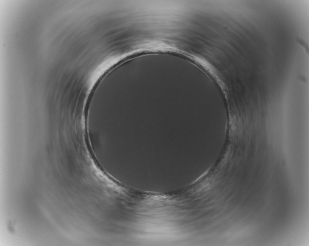 X0000100891335200807011148